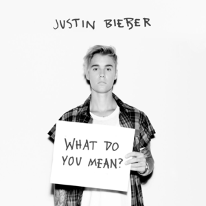 Purpose