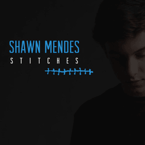 Stitches